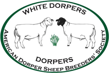 white-dorpers-logo