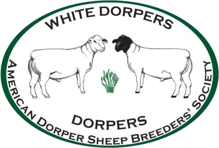 white-dorpers-logo